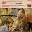 disque s�rie Poly