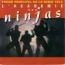 disque s�rie Acad�mie des ninjas [L']