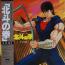 disque s�rie Ken, le survivant