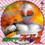 disque s�rie Kamen Rider
